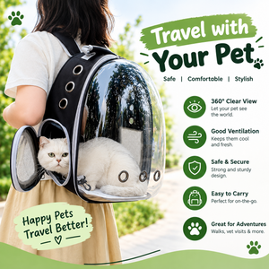 The Best Way to Travel with Your Pet