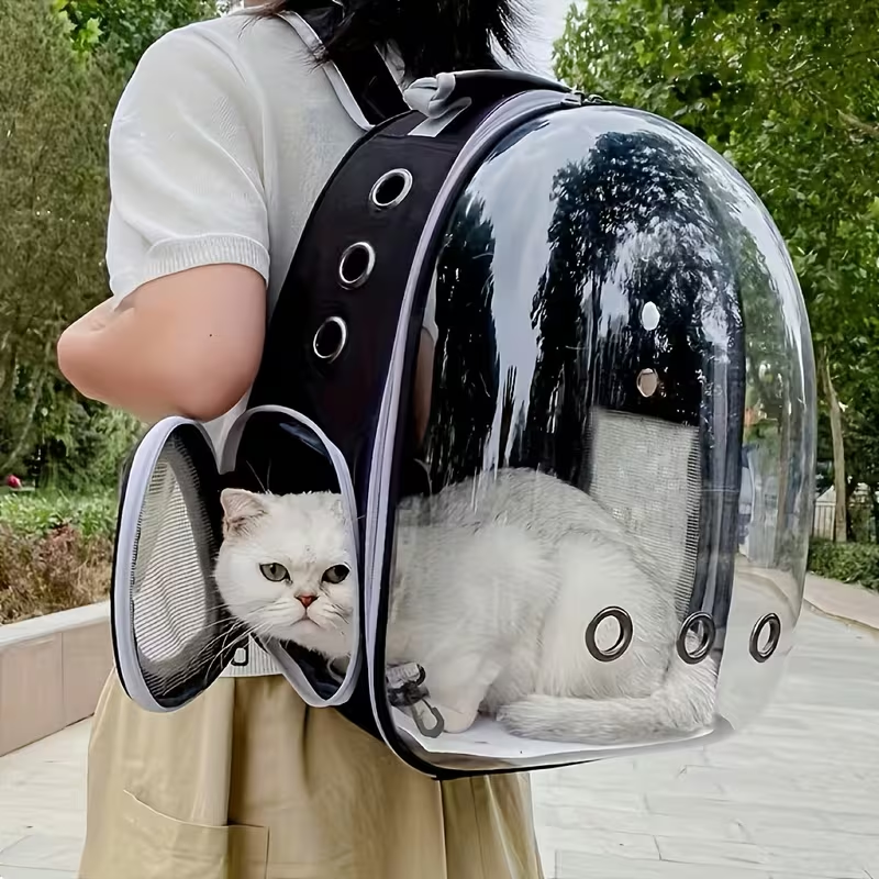 Transparent Breathable Pet Backpack