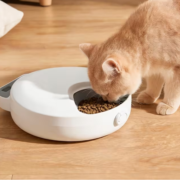 Automatic Refrigerated Pet Feeder